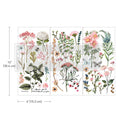 Botanical Paradise | Small Transfers | Redesign With Prima | Rub on Transfers for Furniture and Crafts | 3 sheets- 6"x12" | butterflies bees and florals Redesign with Prima