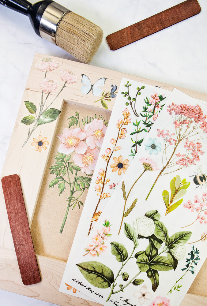 Botanical Paradise | Small Transfers | Redesign With Prima | Rub on Transfers for Furniture and Crafts | 3 sheets- 6"x12" | butterflies bees and florals