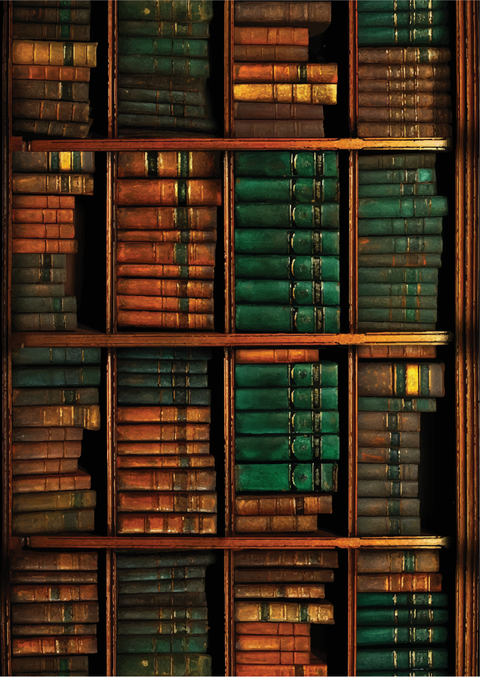 The Old Library | A3 Rice Decoupage Paper – 1 Sheet, 11.7" x 16.54" | Dixie Belle