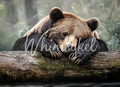 Tuckered Teddy | 21"x29" | Large Decoupage Tissue Paper | Whimsykel Designs | resting bear Whimsykel