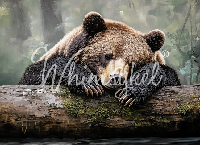 Tuckered Teddy | 21"x29" | Large Decoupage Tissue Paper | Whimsykel Designs | resting bear