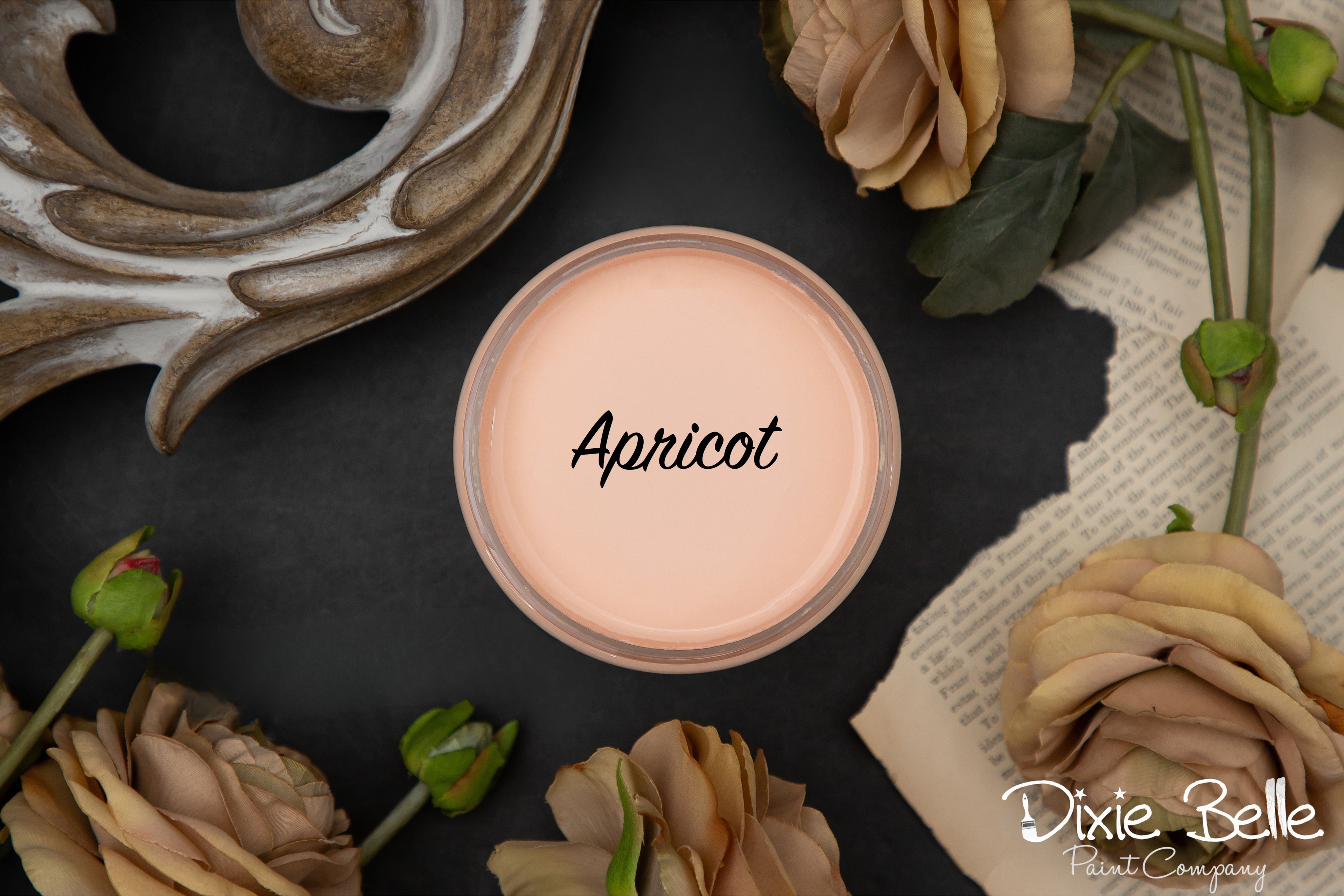 Apricot (pale orange) - Chalk Paint - Dixie Belle Paint (4 sizes)