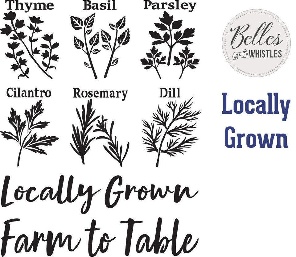 Locally Grown Stencil Dixie Belle Paint