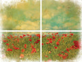 FIELD OF FLOWERS | Transfer | Retired | 4 Sheets | Dixie Belle Paint | red flowers in field Dixie Belle Paint