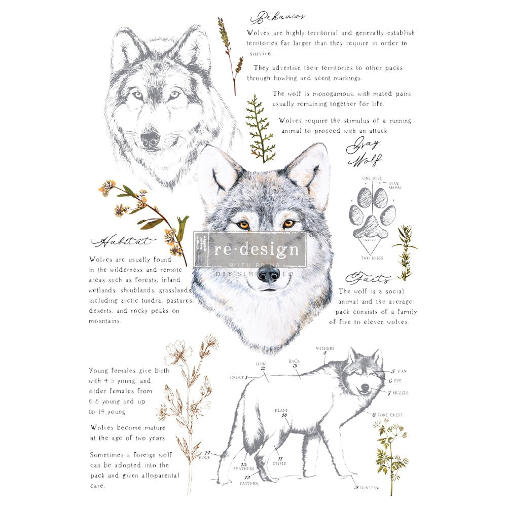 GRAY WOLF Redesign with Prima | Rub on Transfers for Furniture and Crafts| 24X35