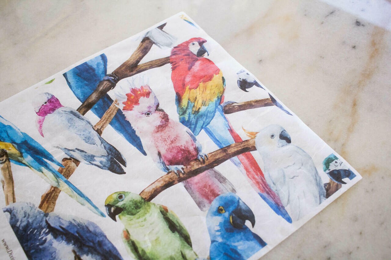 BIRDS | Retired | Rice Decoupage Paper - Dixie Belle Paint