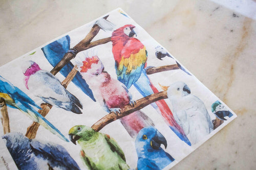 BIRDS | Retired | Rice Decoupage Paper - Dixie Belle Paint Dixie Belle Paint