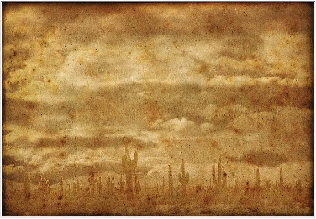 KALAHARI | Retired | A1 Rice Decoupage Paper | For Furniture | Crafts | Art | Dixie Belle Paint
