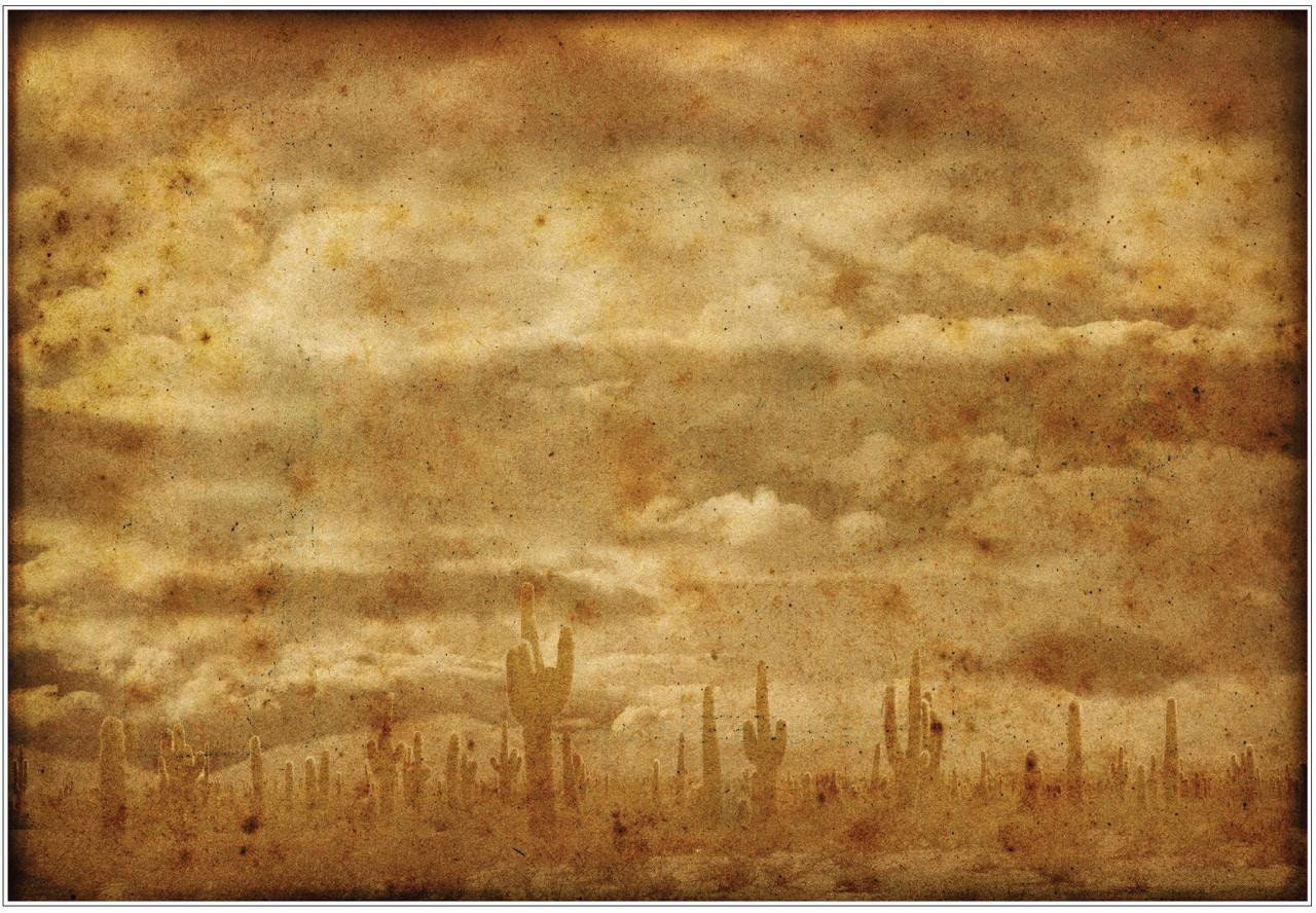 KALAHARI | Retired | A1 Rice Decoupage Paper | For Furniture | Crafts | Art | Dixie Belle Paint