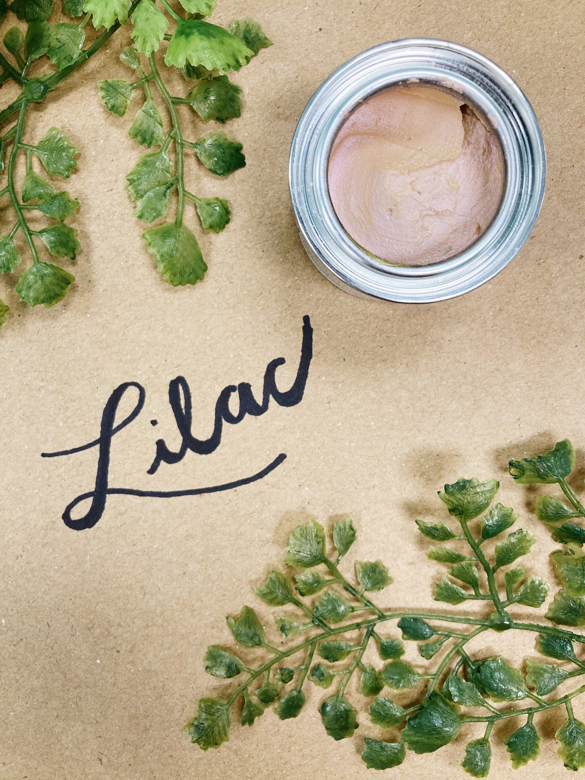 Chameleon Wax | Furniture | Crafts | Art | Dixie Belle Paint
