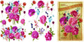 DIXIE SEED CO. | Mid Transfer | Dixie Belle Paint | pink/purple vintage florals Dixie Belle Paint