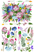KING PROTEA | Large Transfer | Dixie Belle Paint | colorful florals on translucent background Dixie Belle Paint