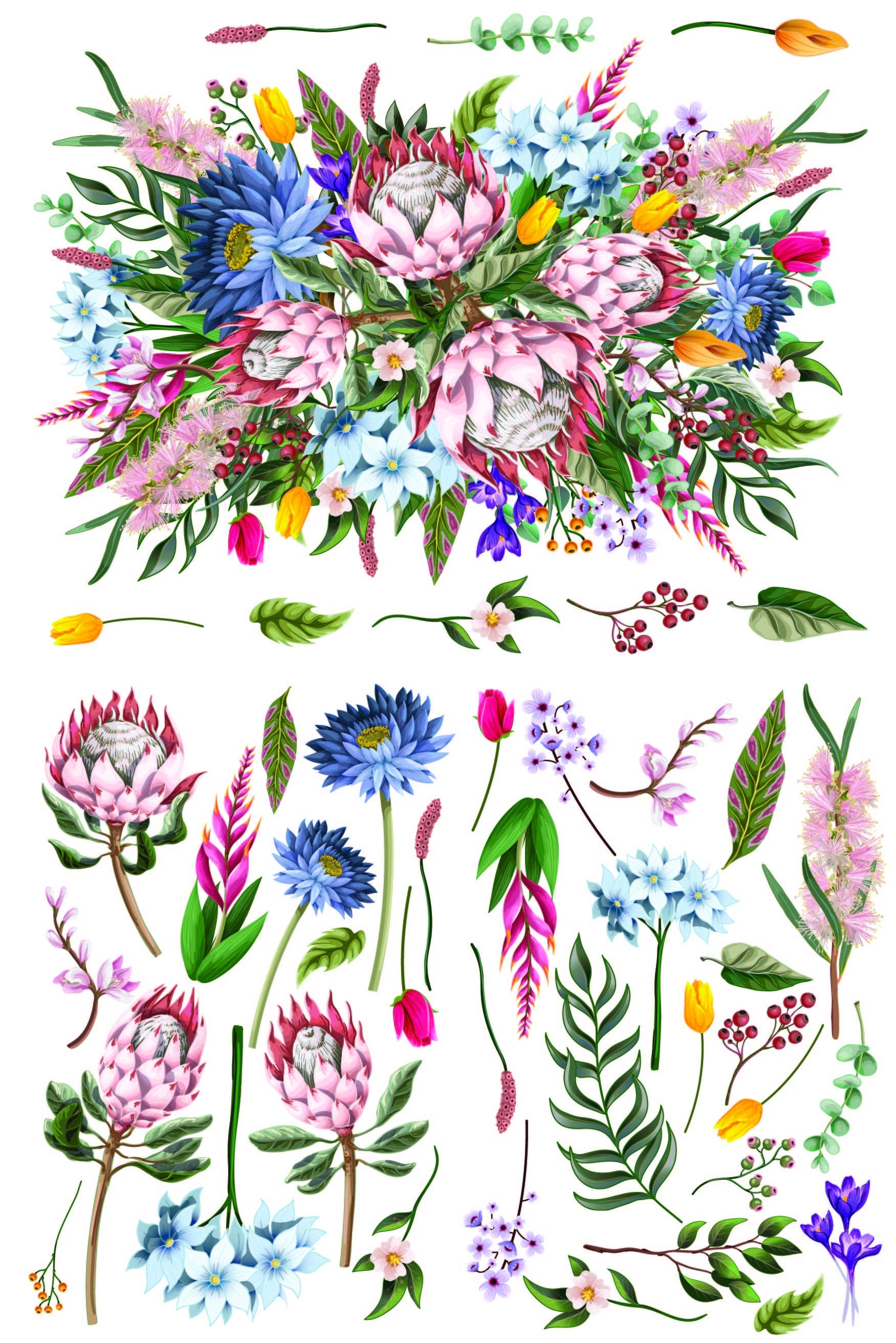 KING PROTEA | Large Transfer | Dixie Belle Paint | colorful florals on translucent background