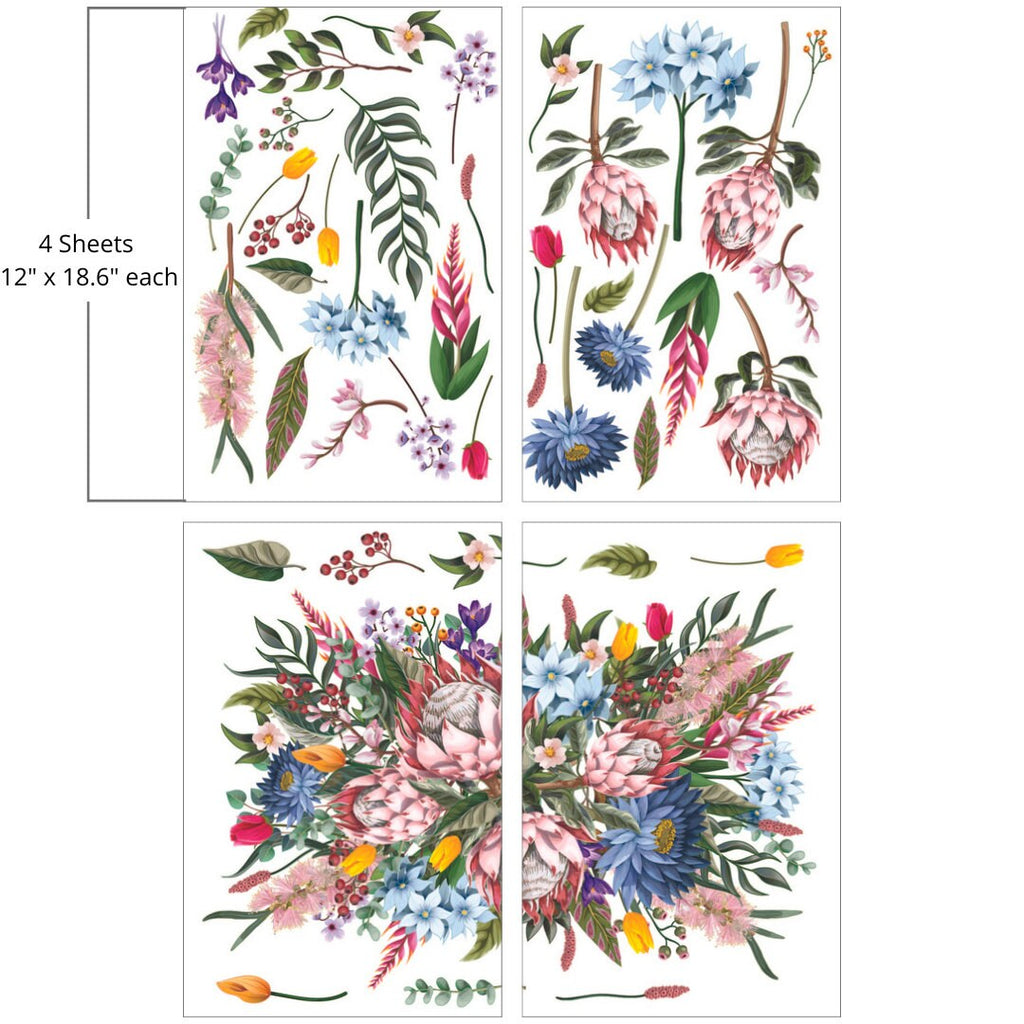 KING PROTEA | Large Transfer | Dixie Belle Paint | colorful florals on translucent background
