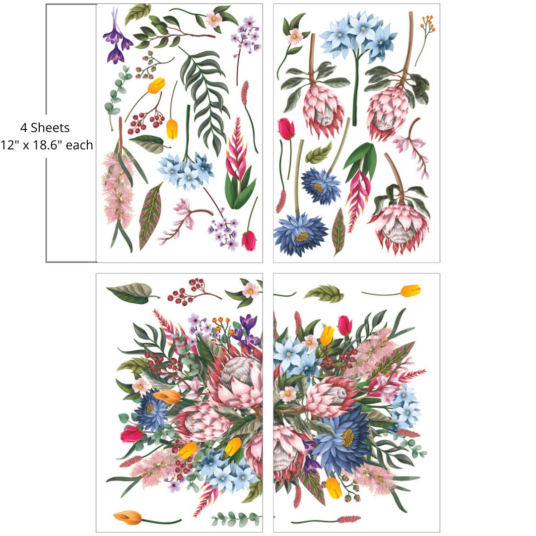 KING PROTEA | Large Transfer | Dixie Belle Paint | colorful florals on translucent background