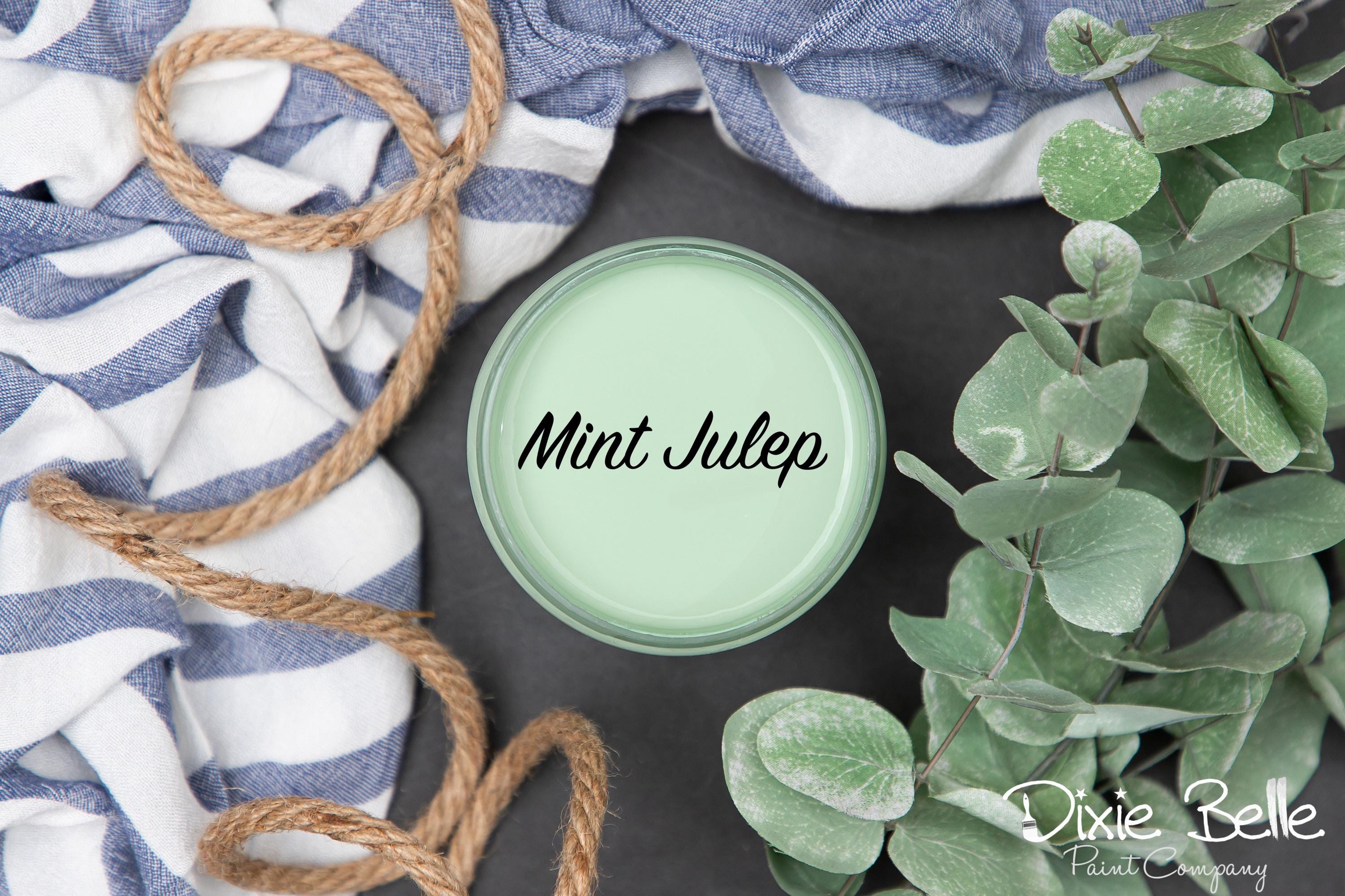 Mint Julep - Chalk Paint - Dixie Belle Paint