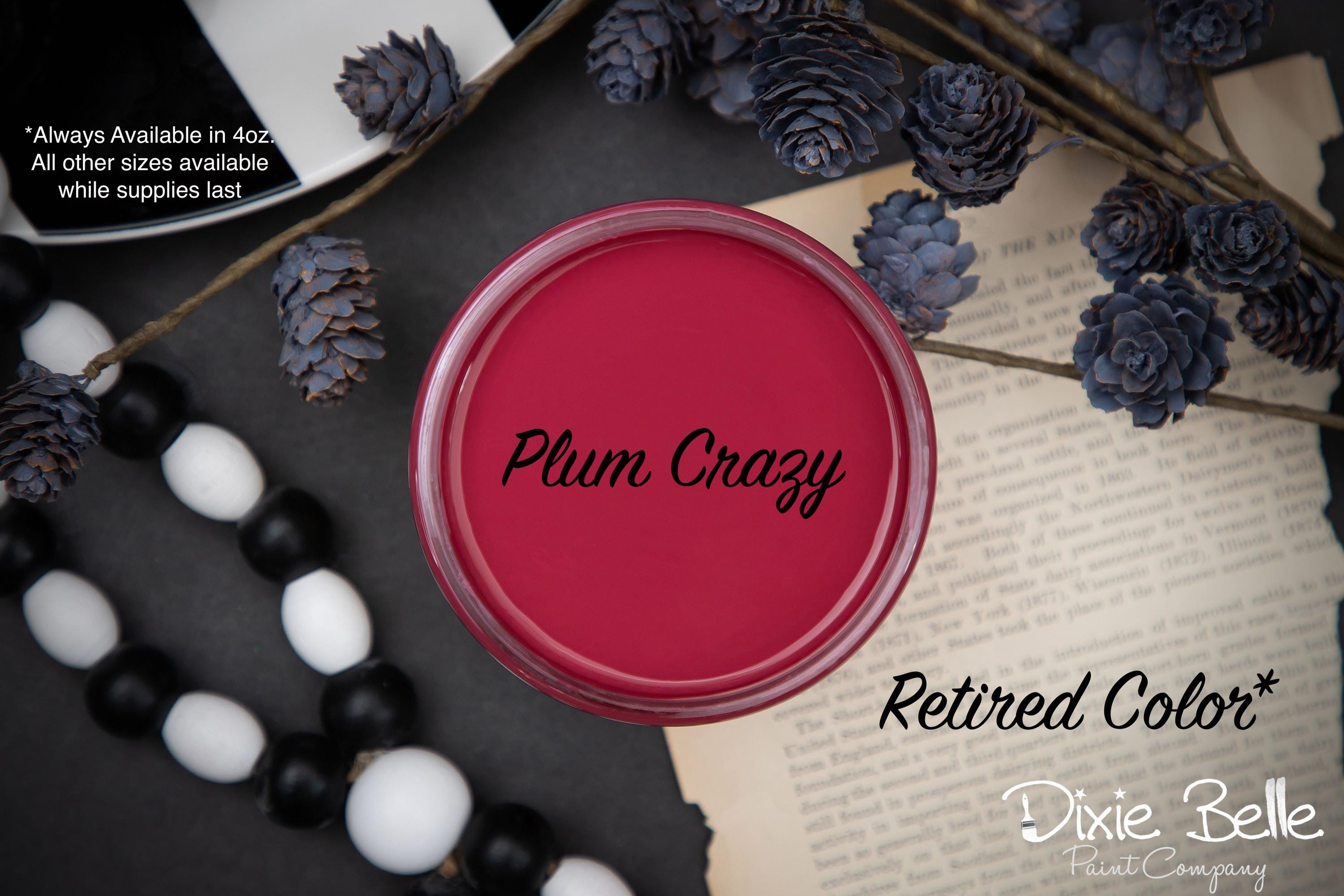 Plum Crazy - Chalk Paint - Dixie Belle Paint