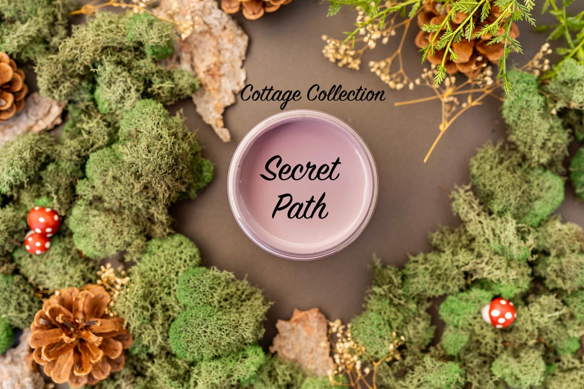 Secret Path - Chalk Paint - Dixie Belle Paint