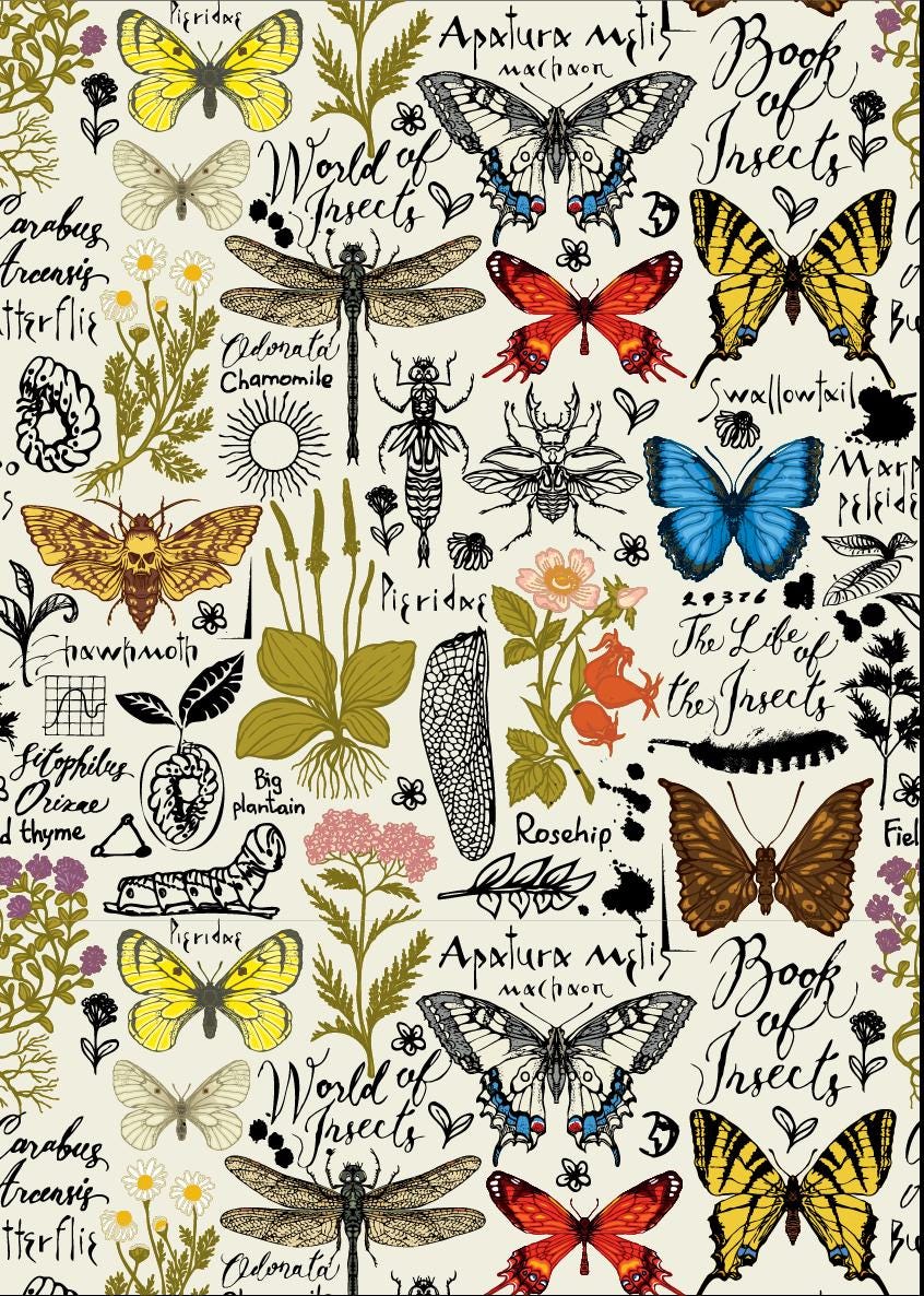 BOOK OF INSECTS | A3- 11.7 x 16.54 inches | Rice Decoupage Paper | Furniture | Crafts | Art