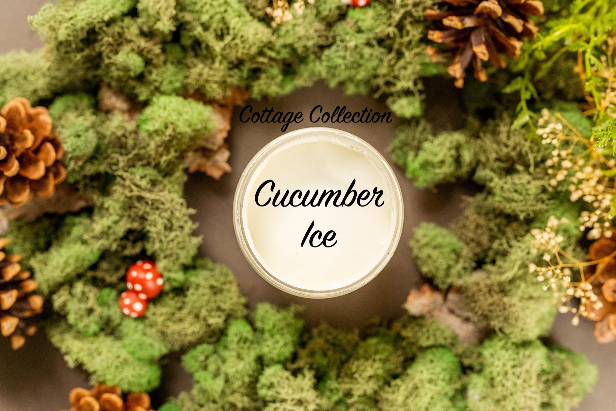 Cucumber Ice - Chalk Paint - Dixie Belle Paint