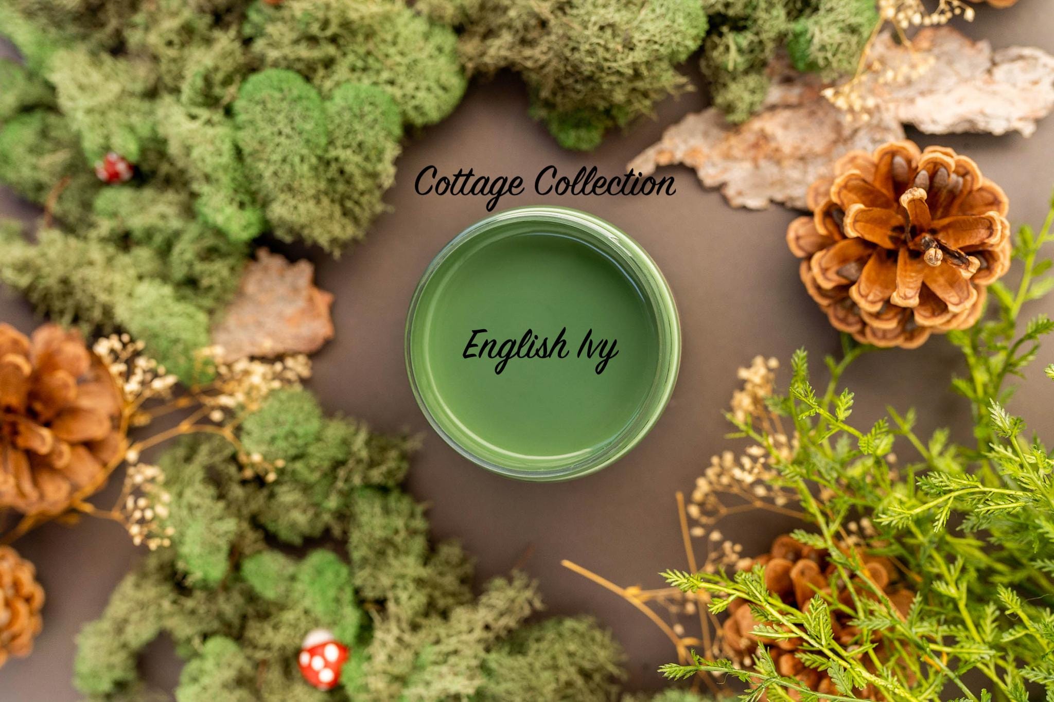 ENGLISH IVY | Dixie Belle Chalk Mineral Paint | muted green | Furniture Paint | Ships Same Day | Eligible for Free Shipping