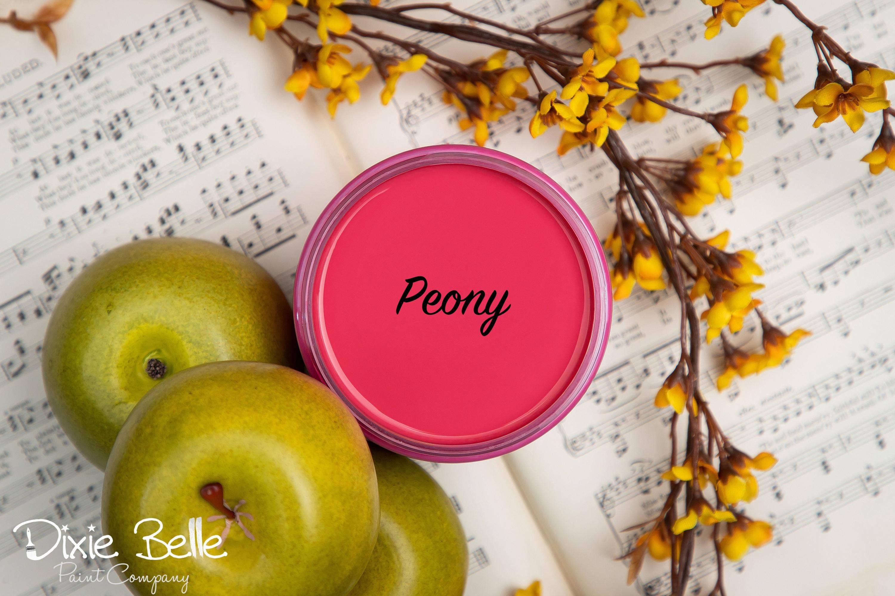 Peony - Chalk Paint - Dixie Belle Paint