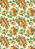 VINTAGE ORANGES | A3- 11.7 x 16.54 inches | Rice Decoupage Paper | Furniture | Crafts | Art Dixie Belle Paint