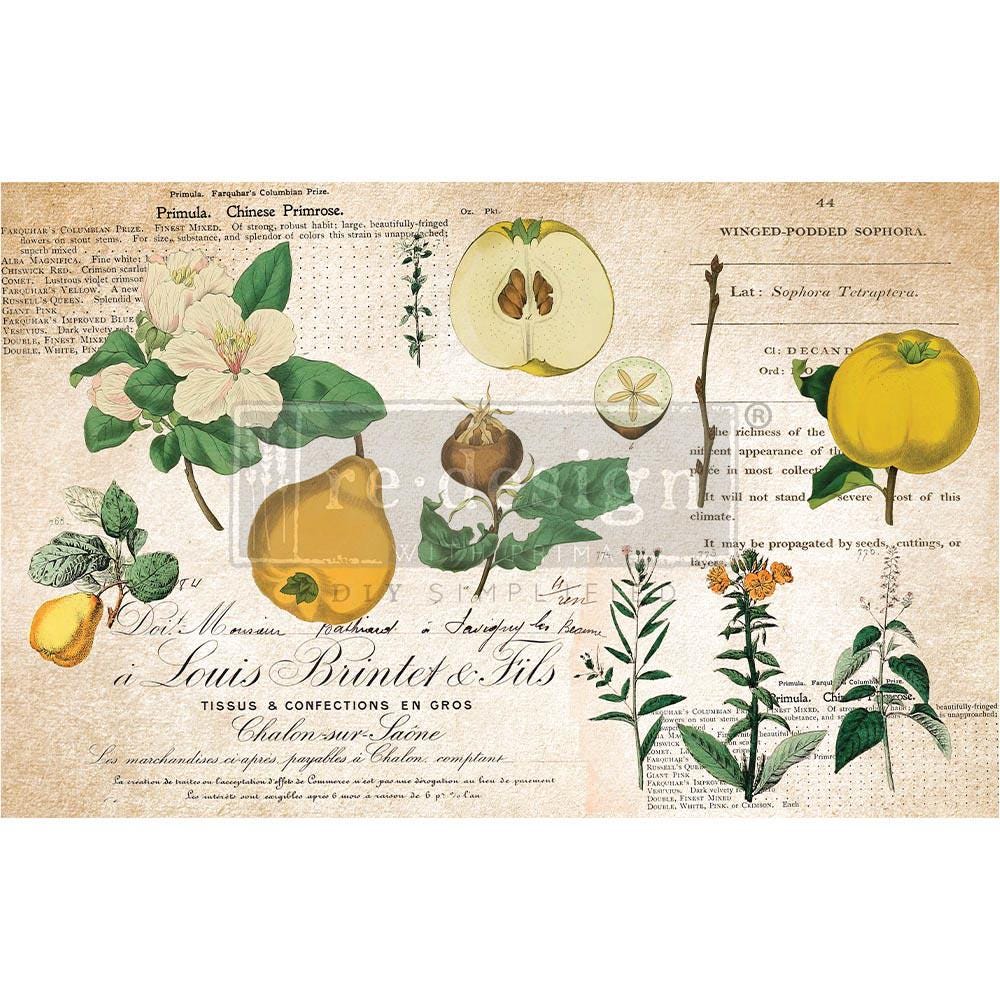 PRIMROSE | Decoupage Decor Tissue Paper for Furniture | 19.5"x30" | Redesign with Prima | blooms and fruits