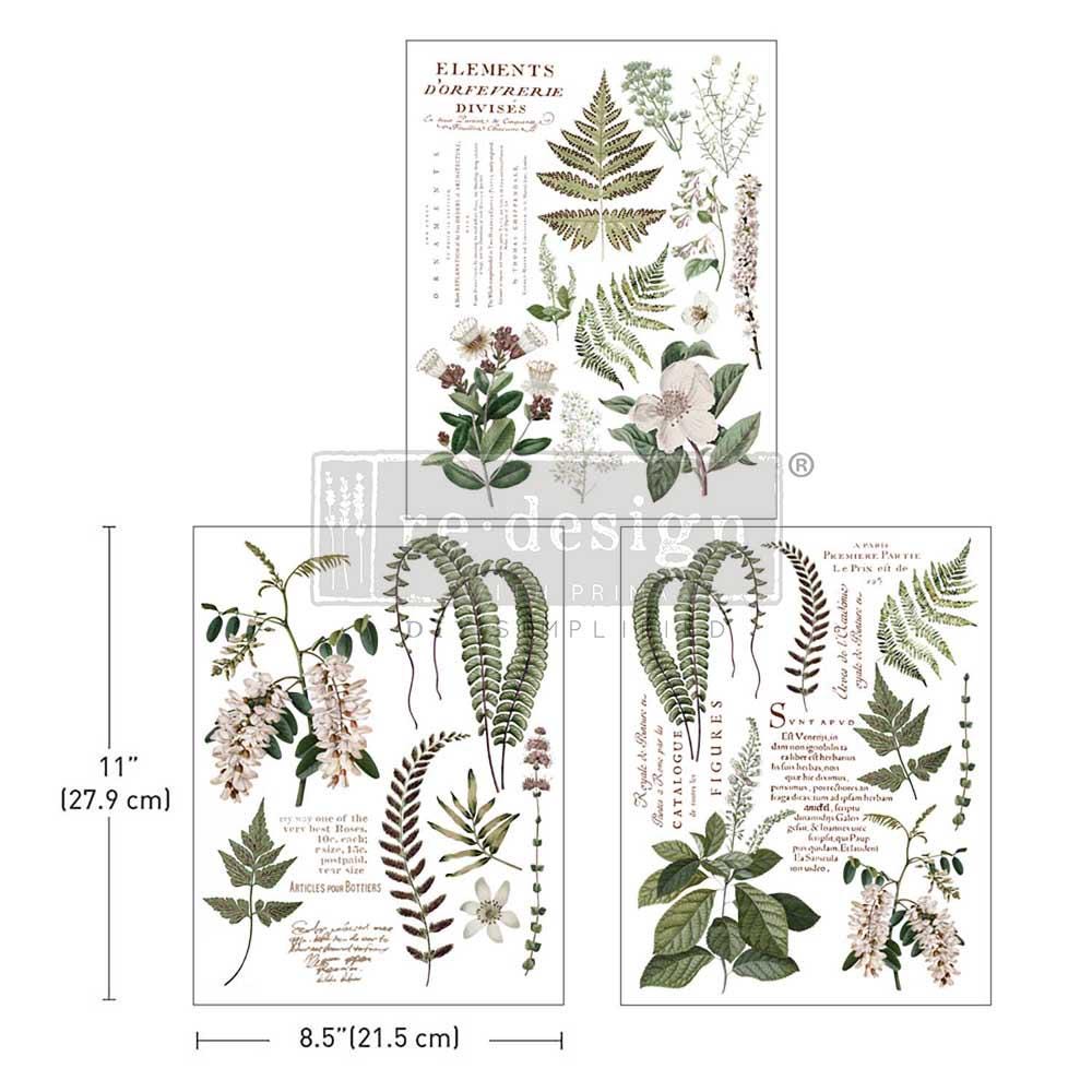 GREENERY GRACE | Middy Transfers | Redesign With Prima | Rub on Transfers for Furniture and Crafts | 3 sheets-8.5" x 11"