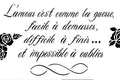 Script Damour Francais | large print Stencil | Dixie Belle Paint Dixie Belle Paint