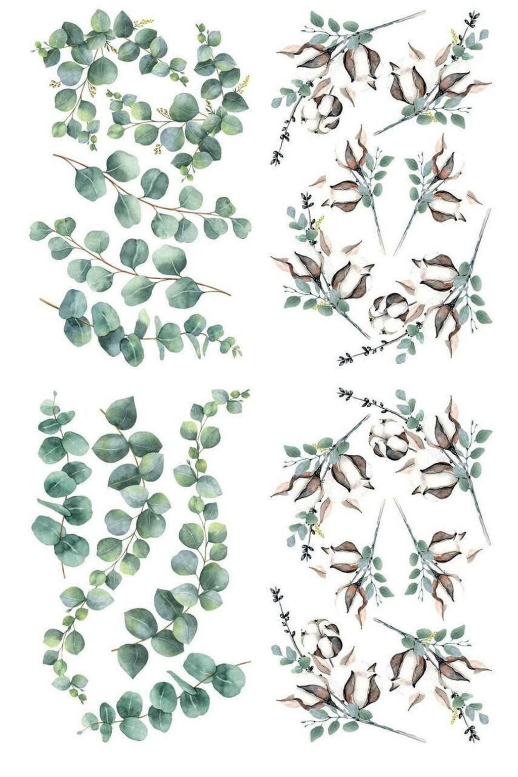 COTTON AND EUCALYPTUS | Transfer | Retired | 4 Sheets | Dixie Belle Paint