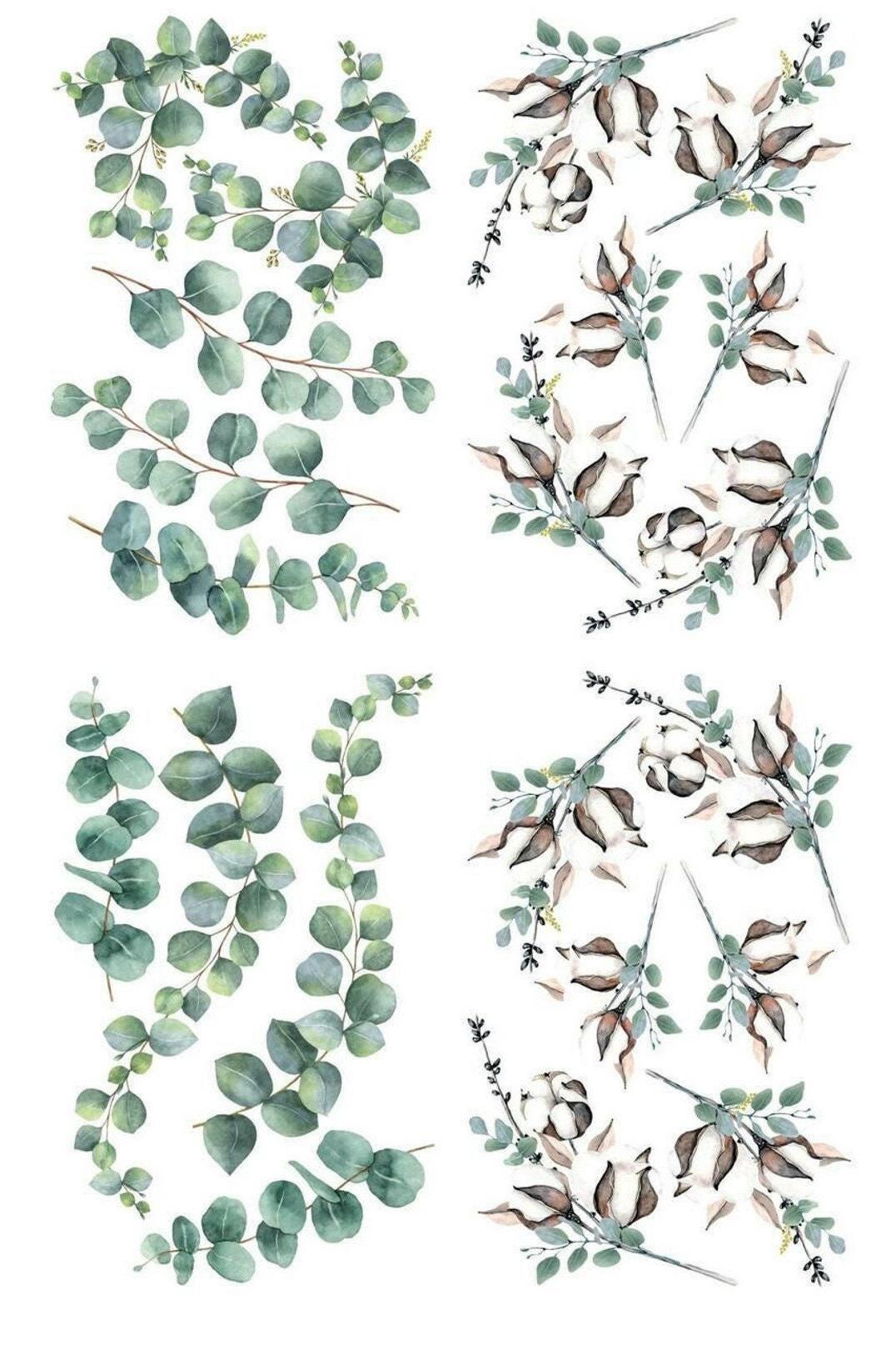 COTTON AND EUCALYPTUS | Transfer | Retired | 4 Sheets | Dixie Belle Paint