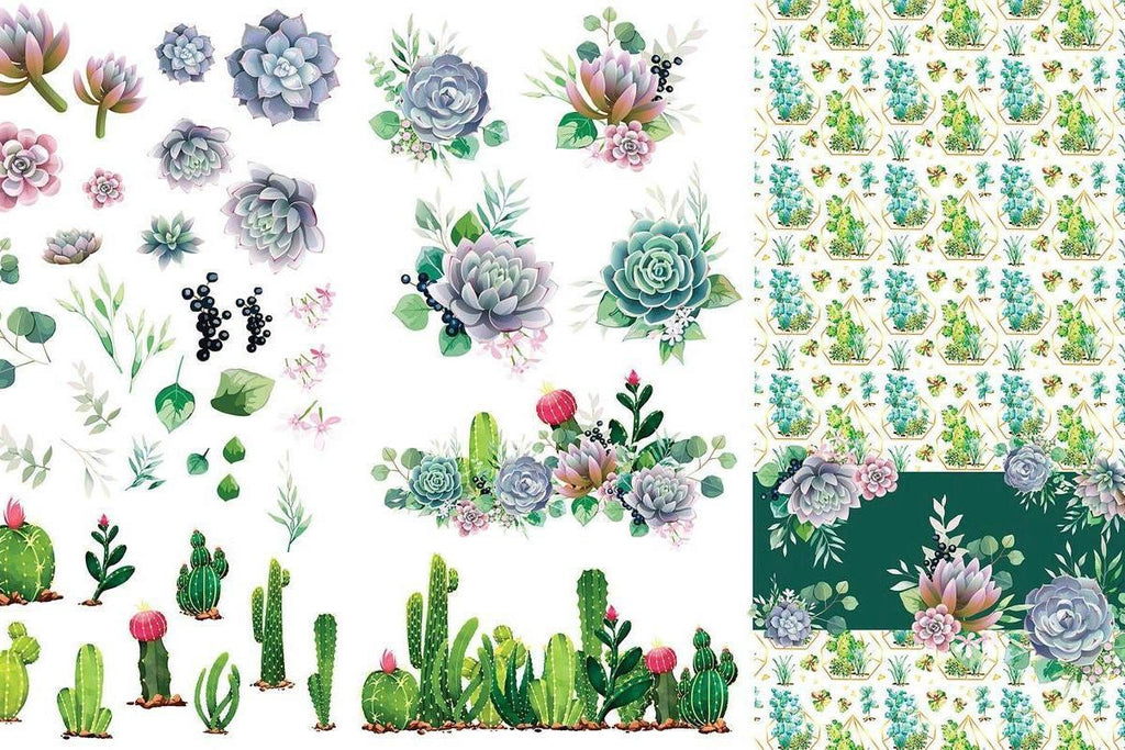 CACTI & SUCCULENTS | Transfer | Retired | 6 Sheets | Dixie Belle Paint