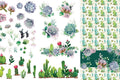 CACTI & SUCCULENTS | Transfer | Retired | 6 Sheets | Dixie Belle Paint Dixie Belle Paint