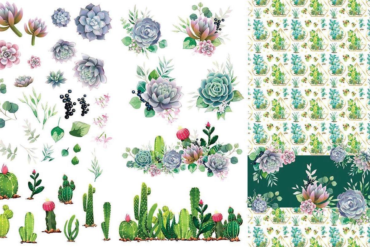 CACTI & SUCCULENTS | Transfer | Retired | 6 Sheets | Dixie Belle Paint