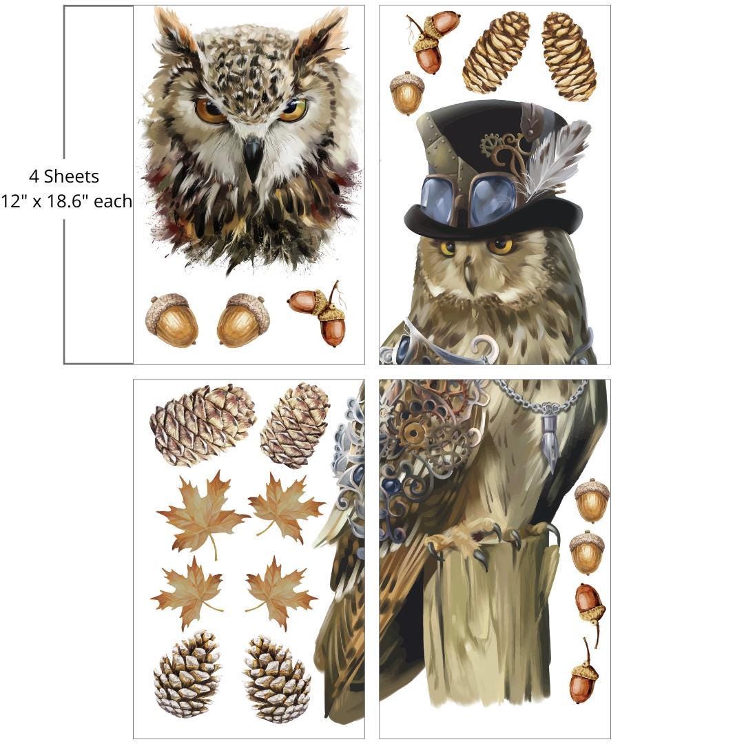 STEAMPUNK OWL ADVENTURE | Large Transfer | Dixie Belle Paint Company | 4 sheets of autumn and one funky owl