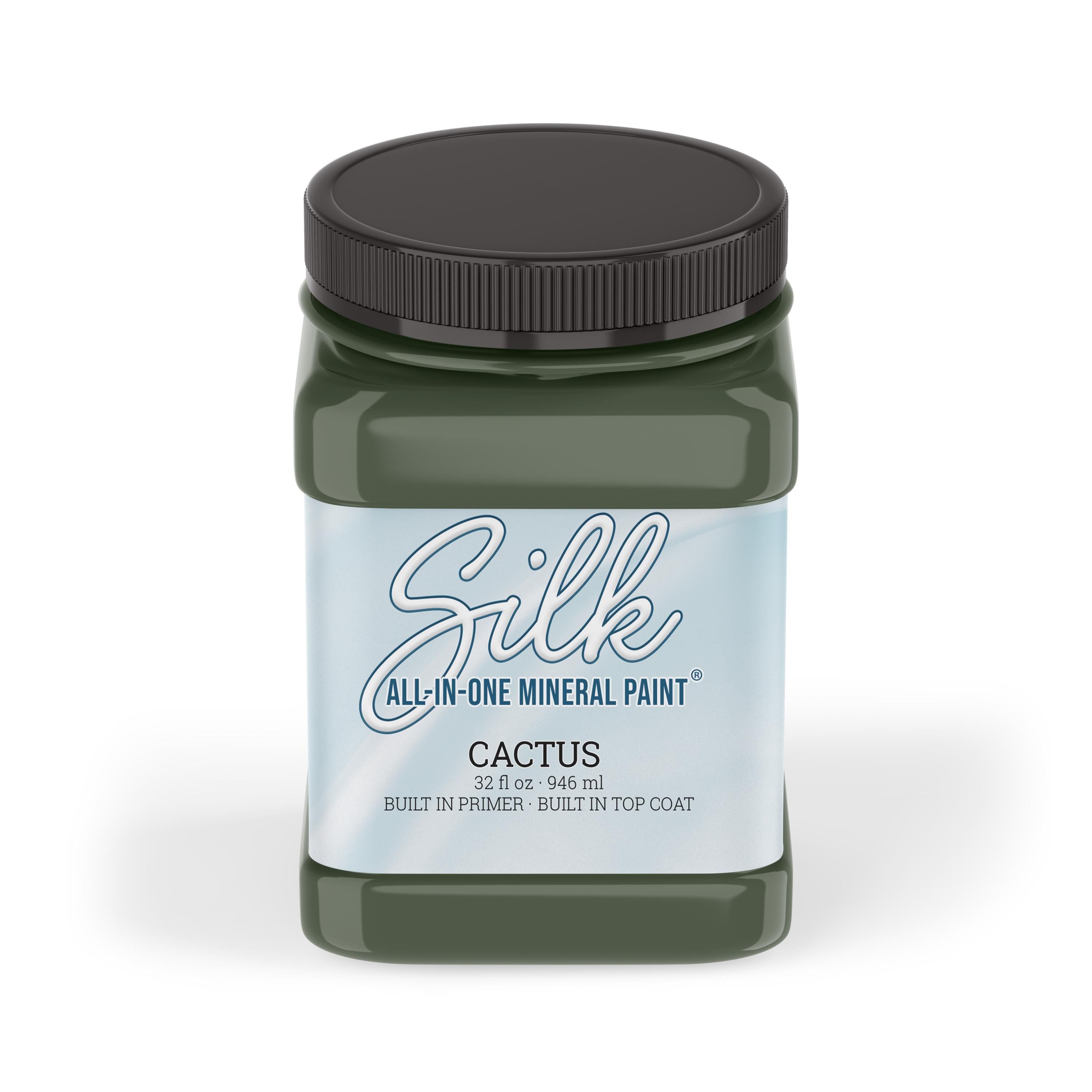 CACTUS | Dixie Belle Silk Paint | muted green | Furniture Paint | Ships Same Day | Eligible for Free Shipping