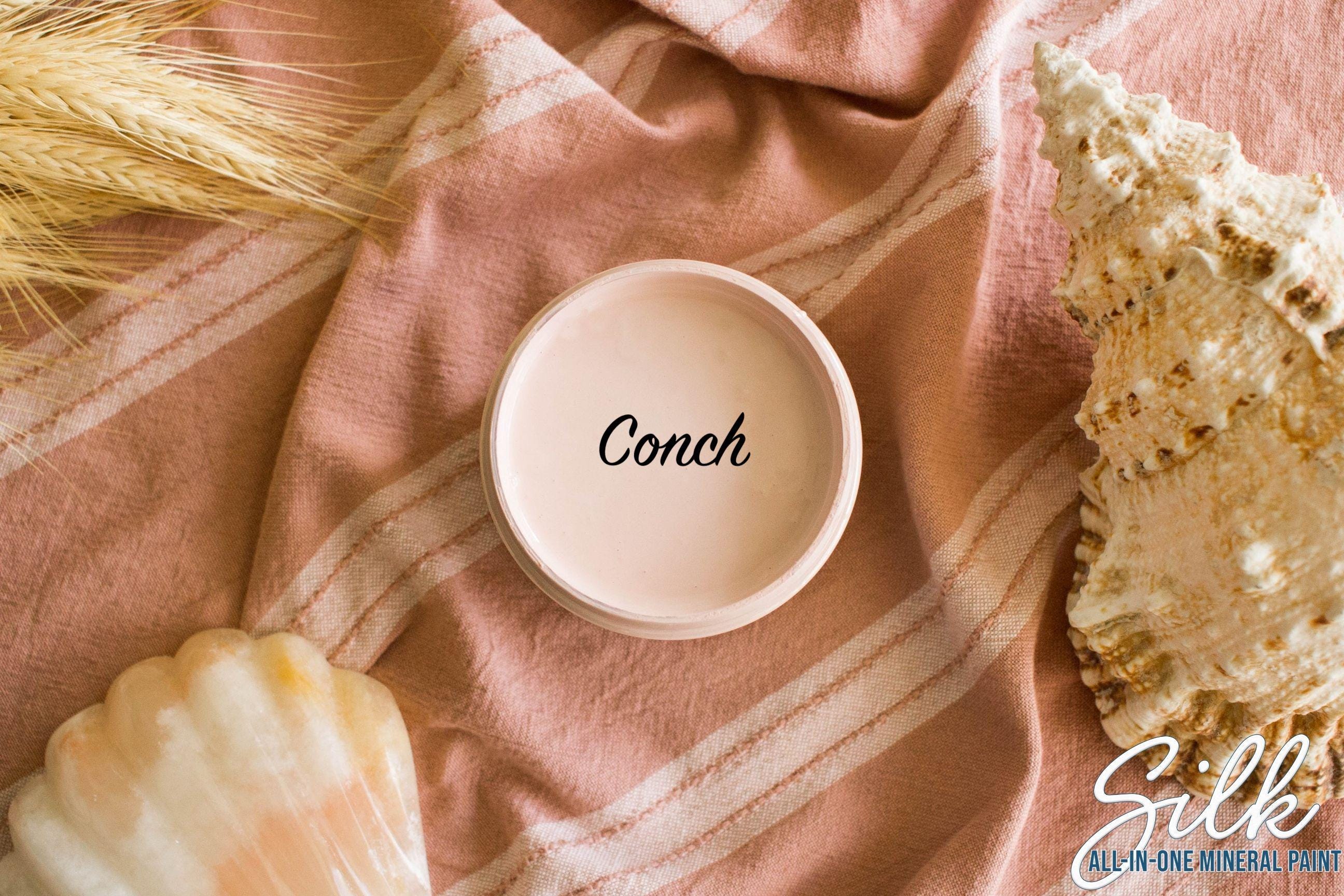 CONCH | Dixie Belle Silk Paint | soft pink | Furniture Paint | Ships Same Day | Eligible for Free Shipping