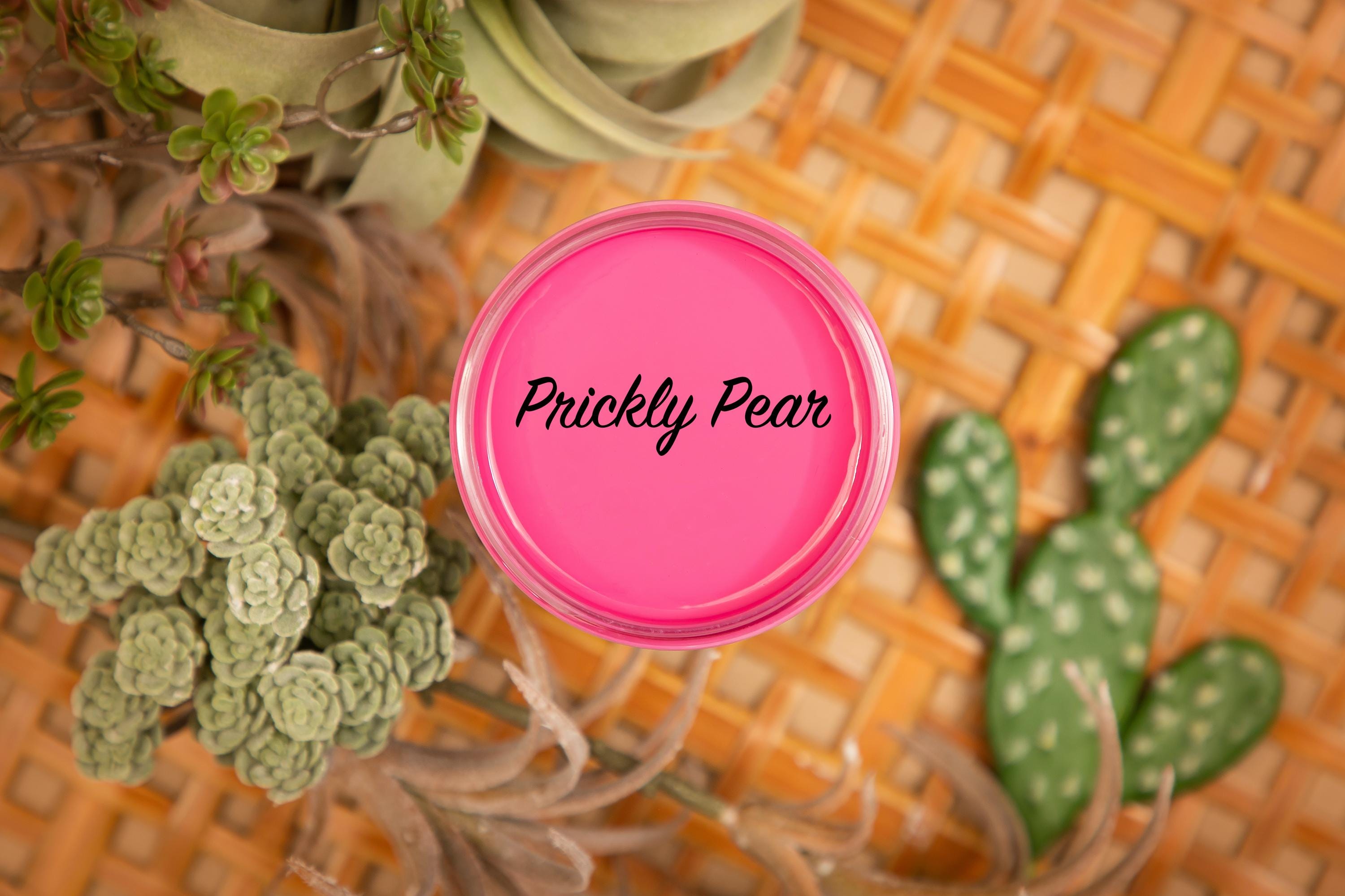 PRICKLY PEAR | Dixie Belle Silk Paint | deep cool pink | Furniture Paint | Ships Same Day | Eligible for Free Shipping