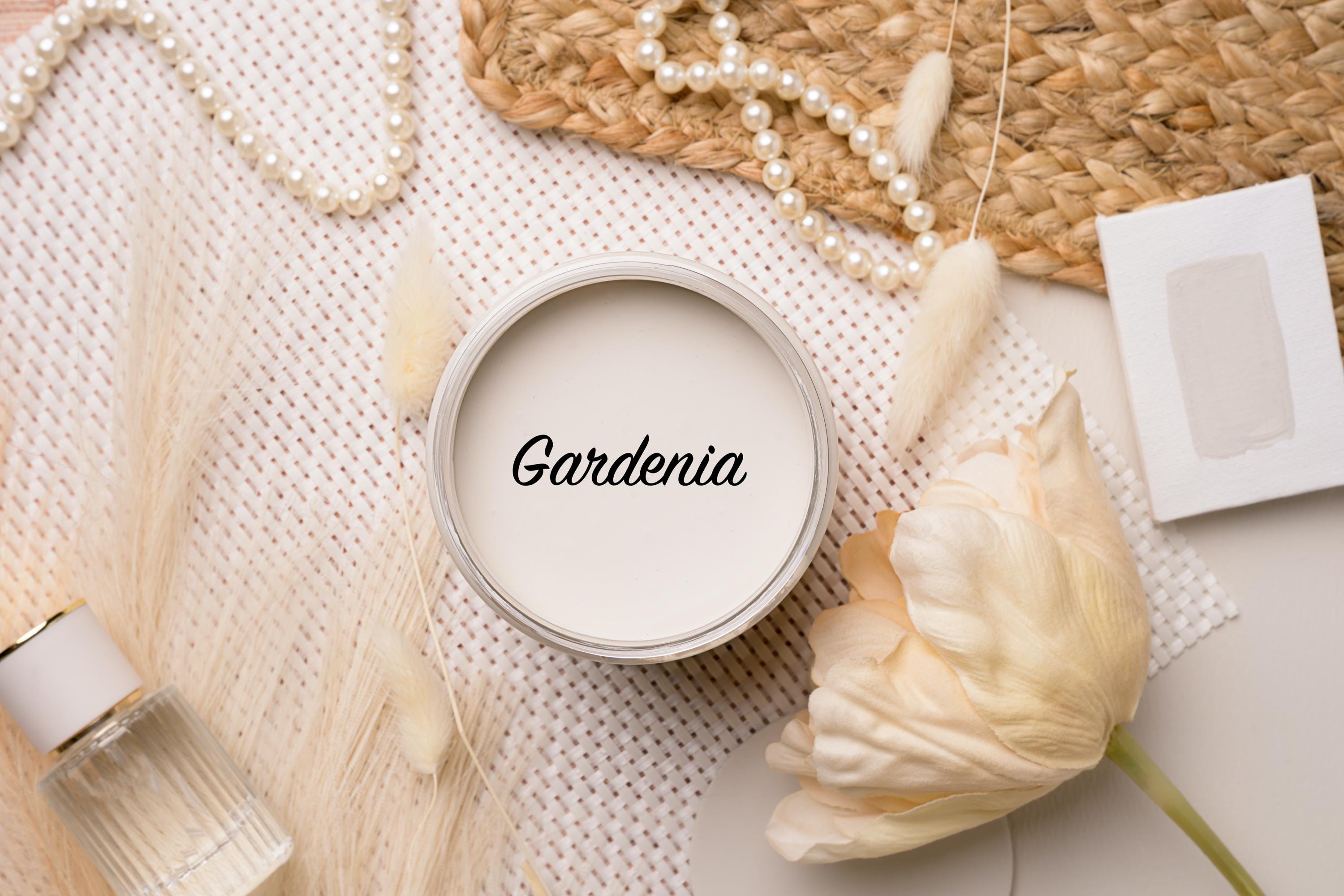 Gardenia - Chalk Paint - Dixie Belle Paint