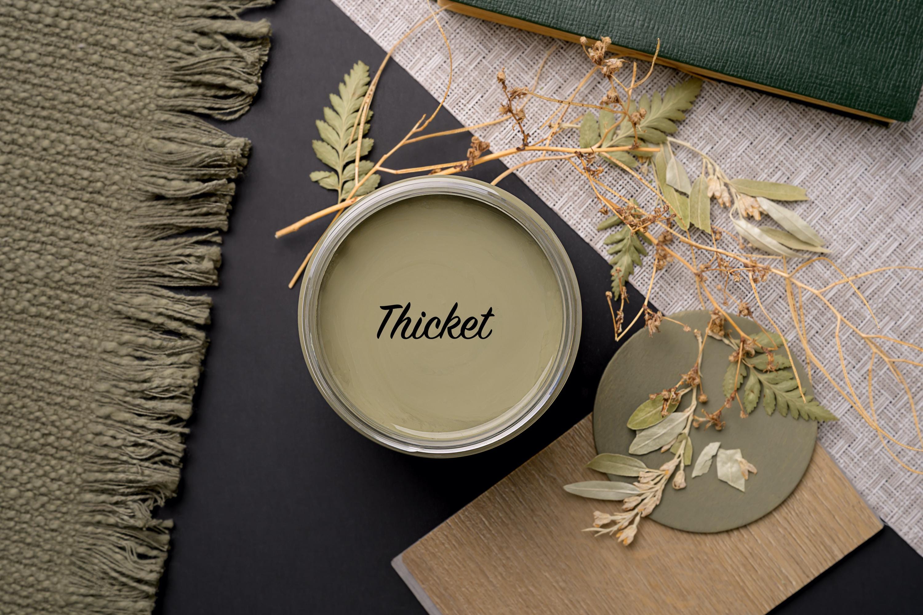 Thicket - Chalk Paint - Dixie Belle Paint
