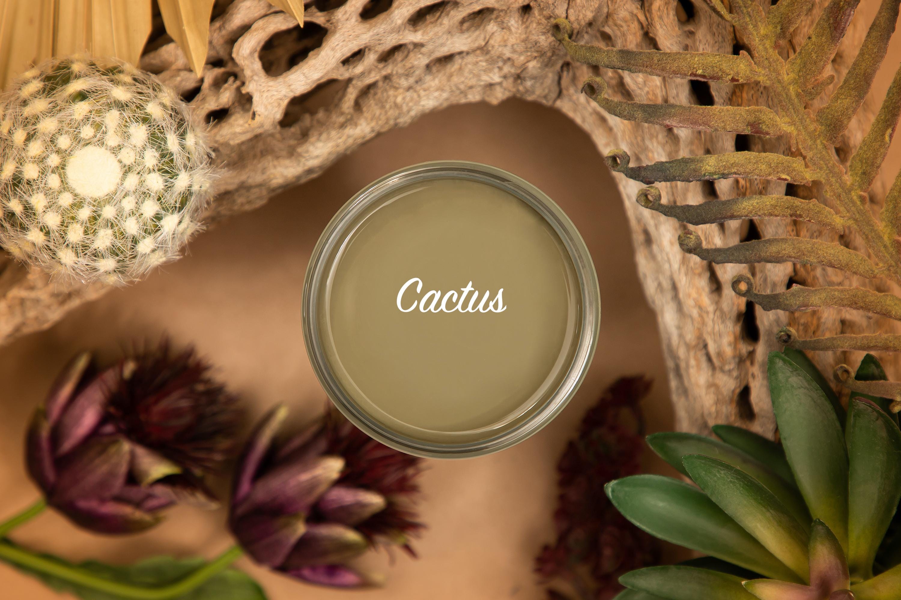 CACTUS | Dixie Belle Silk Paint | muted green | Furniture Paint | Ships Same Day | Eligible for Free Shipping