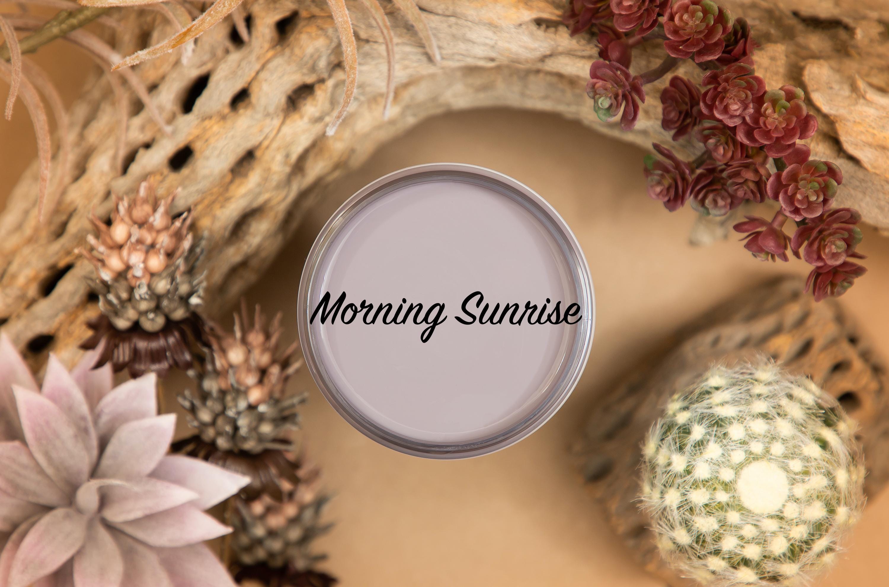 MORNING SUNRISE | Dixie Belle Silk Paint | soft lilac | Furniture Paint | Ships Same Day | Eligible for Free Shipping