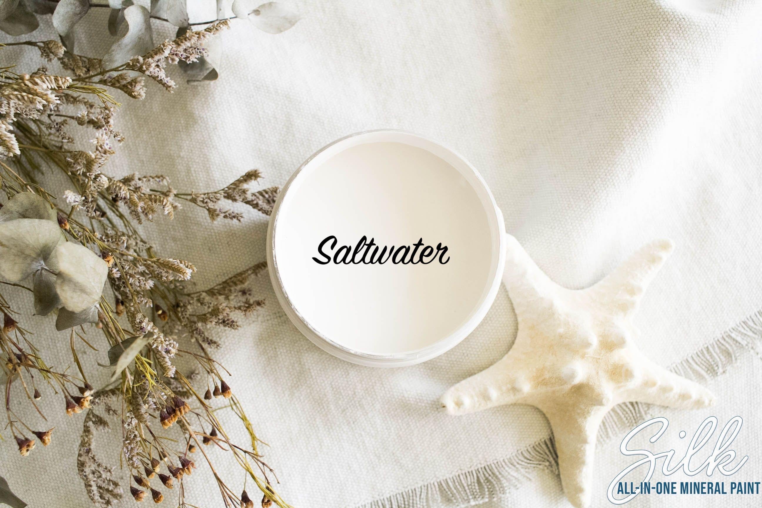 SALT WATER | Dixie Belle Silk Paint | off-white | Furniture Paint | Ships Same Day | Eligible for Free Shipping