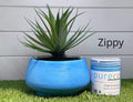Zippy - neon 8.45oz | Pureco Paints USA | blue | Chalk Finish Paint | Furniture Paint | Ships Same Day | Eligible for Free Shipping