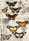 VINTAGE BUTTERFLIES | Rice Decoupage Paper | For Furniture | Crafts | Art | Dixie Belle Paint Dixie Belle Paint