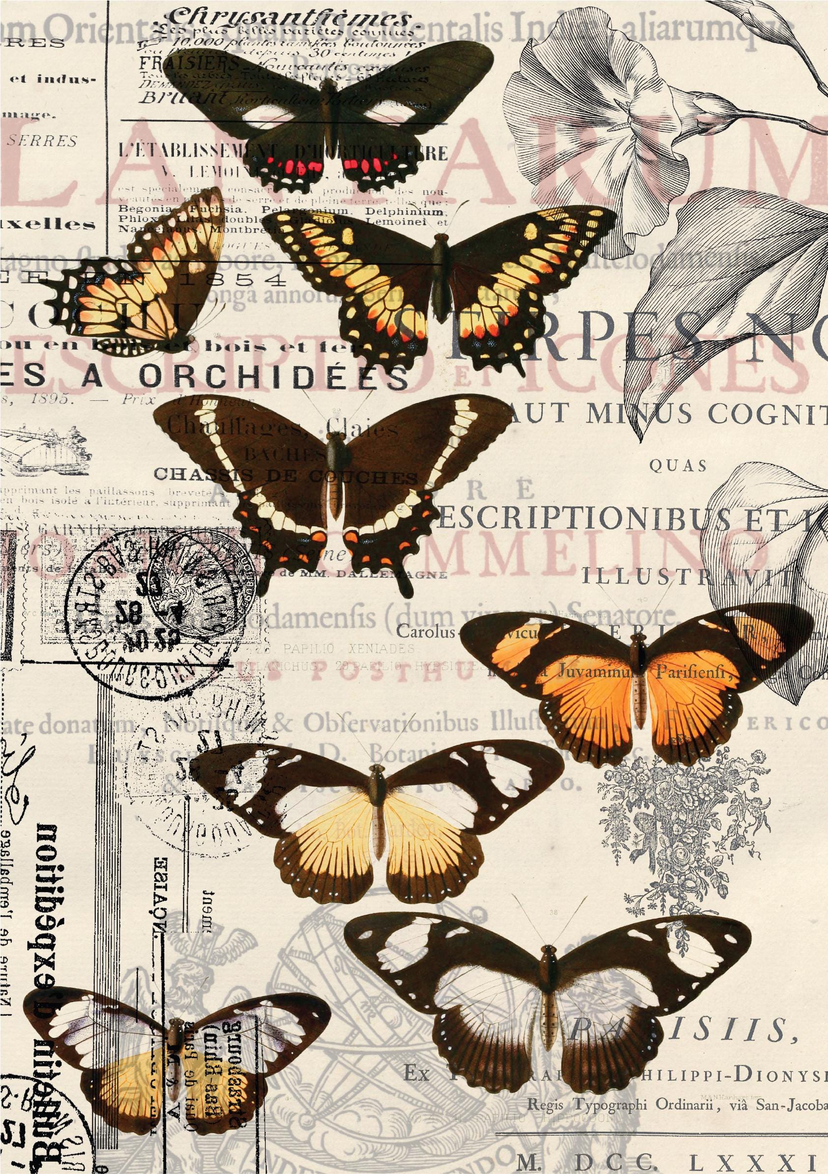 VINTAGE BUTTERFLIES | 21"x29" | Rice Decoupage Paper | For Furniture | Crafts | Art | Dixie Belle Paint