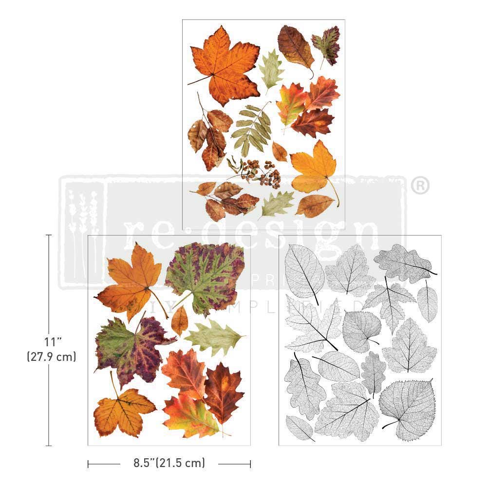 CRUNCHY LEAVES | Middy Transfers | Redesign With Prima | Rub on Transfers | Furniture | Arts & Crafts | 3 sheets-8.5" x 11"
