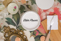 ELDERFLOWER | Dixie Belle Silk Paint | creamy white | Furniture Paint | Ships Same Day | Eligible for Free Shipping