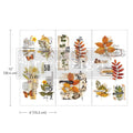 FOLIAGE COLLECTOR | Small Transfers | Redesign With Prima | Rub on Transfers | Furniture | Arts & Crafts | 3 sheets, 6x12